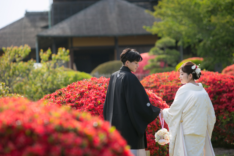 真っ赤なつつじ