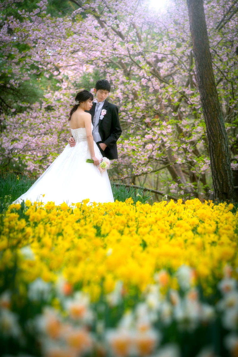 春の到来を告げる花々✿
