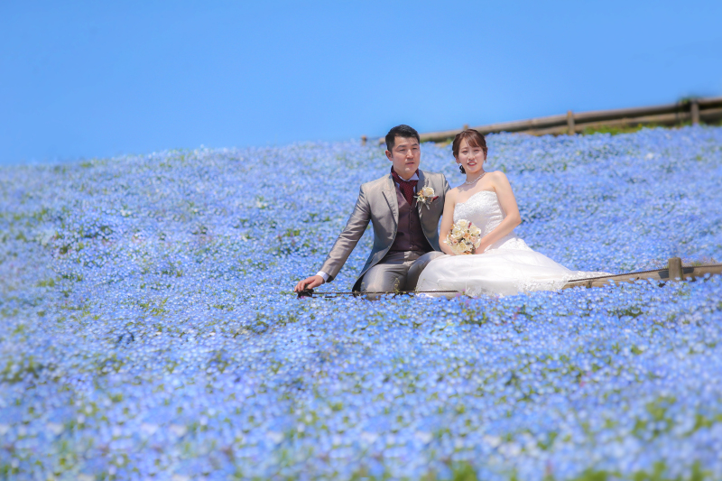 ネモフィラ畑でひと休み