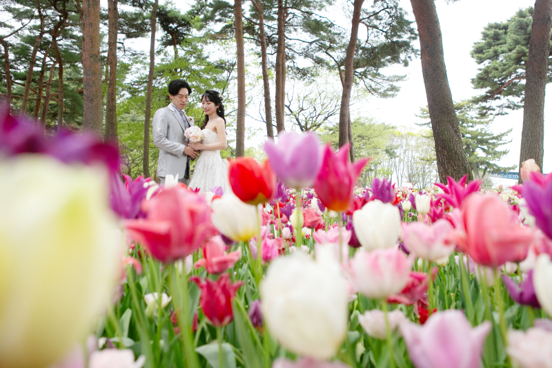 彩りに包まれて