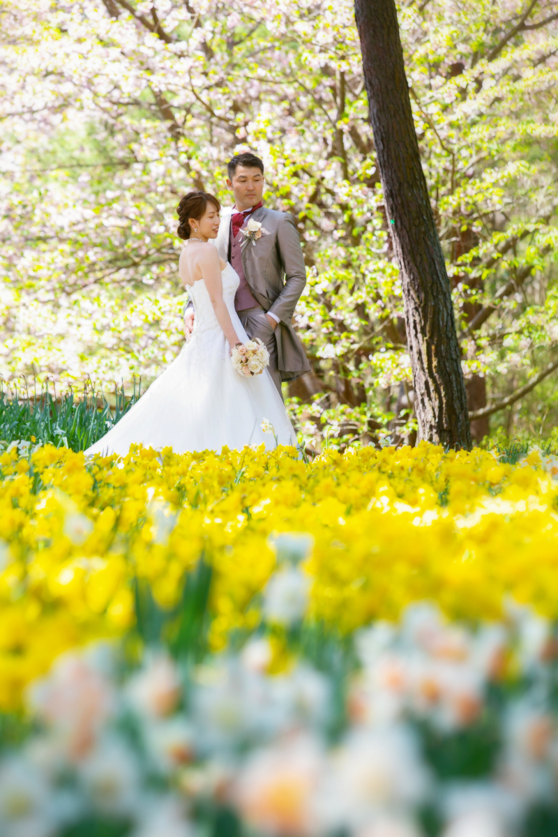 春色に包まれて