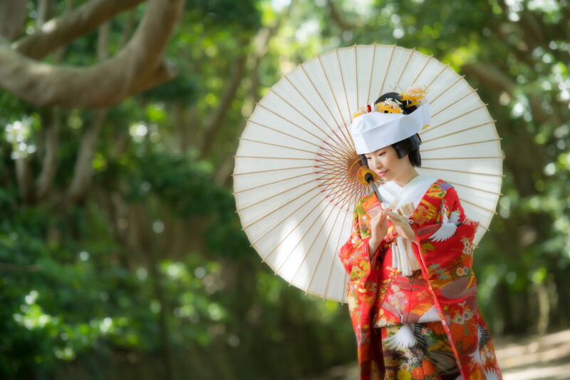 式もできるお得なプラン