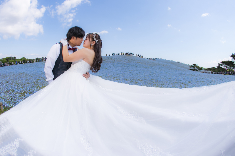 爽やかな青と白