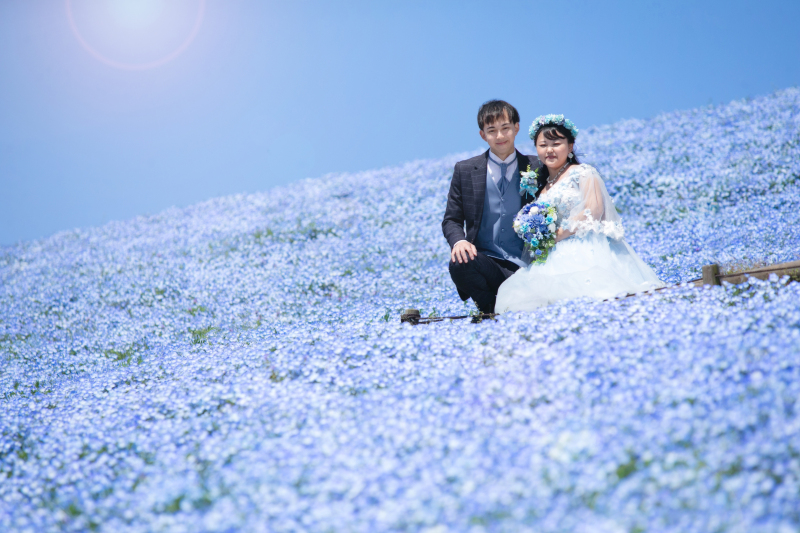 ネモフィラに包まれて