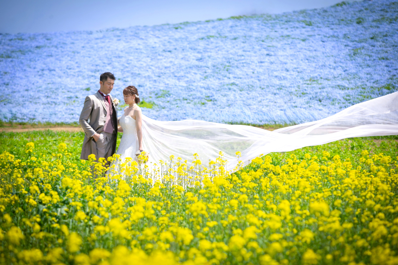 風と、花と、ふたり