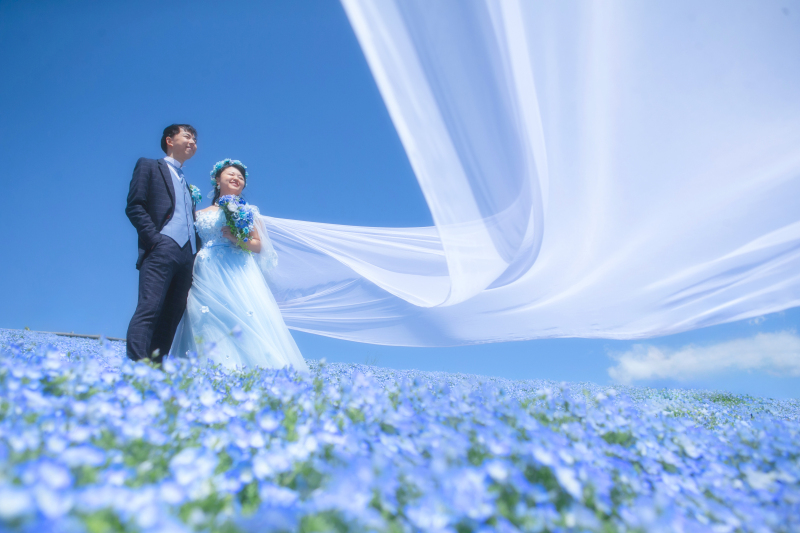 青に抜ける一瞬