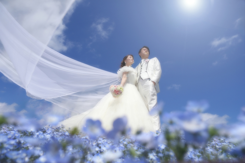 ベールショット