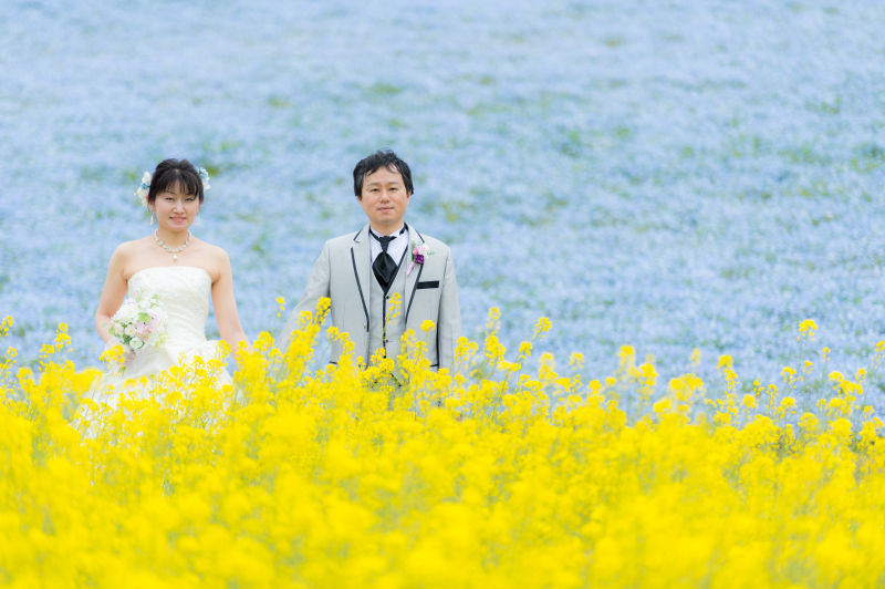 春を感じる色彩