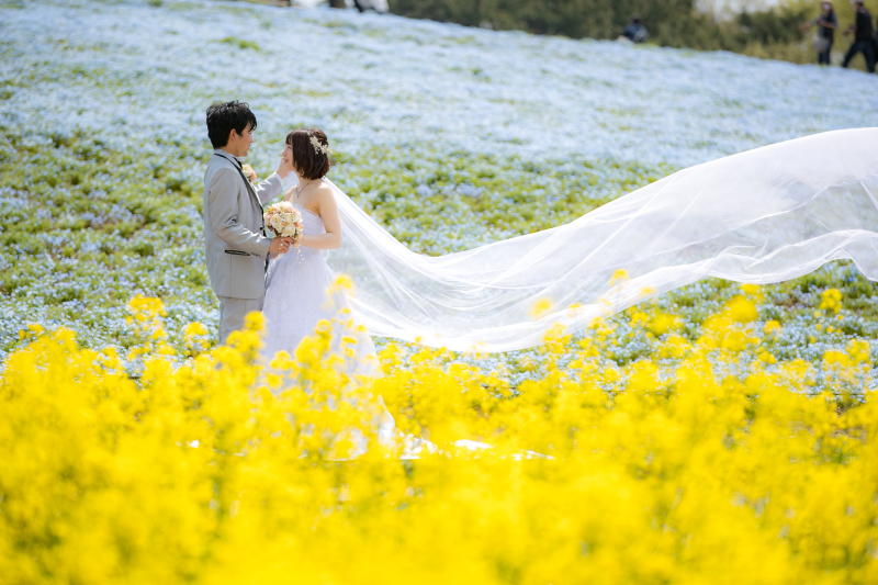 二色のコントラスト