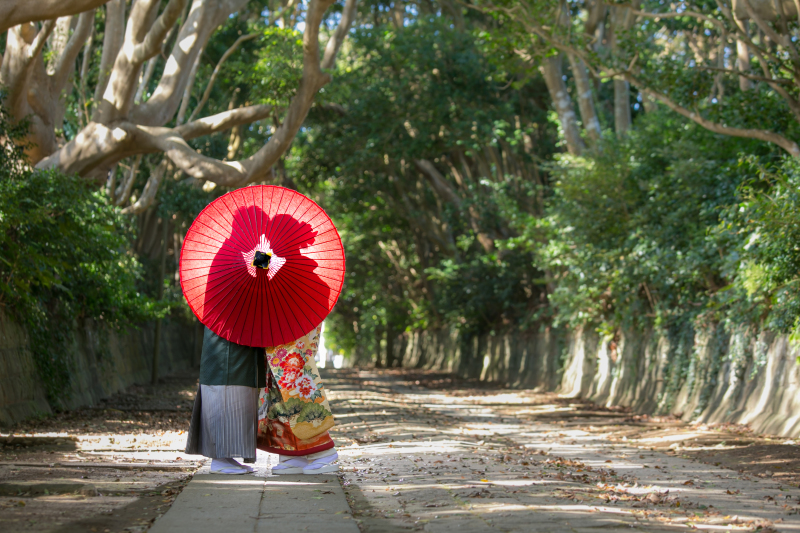 樹叢に包まれて＊酒列磯前神社