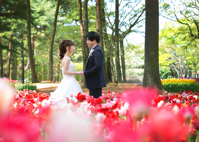 春色のまなざし