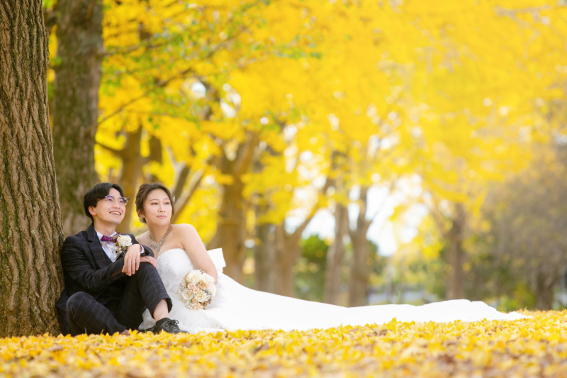 イチョウの絨毯