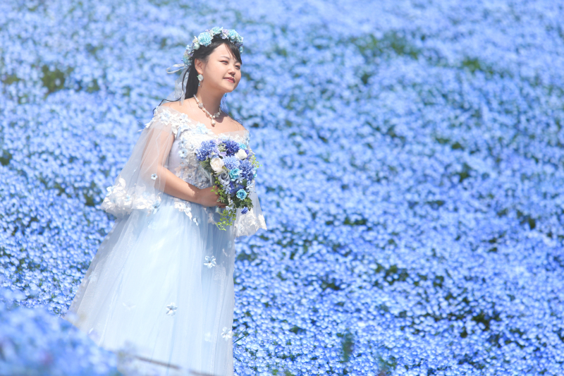 ブルー&times;ブルー