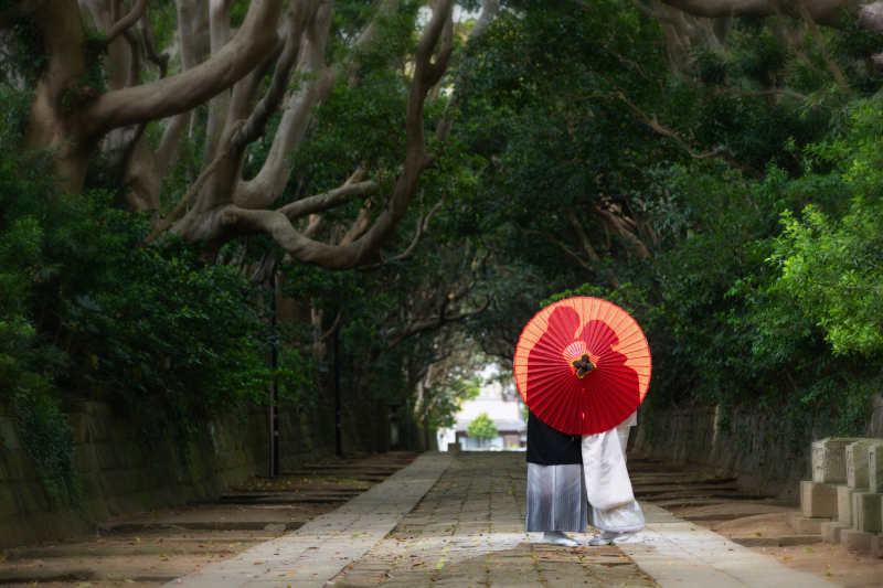 木漏れ日の参道