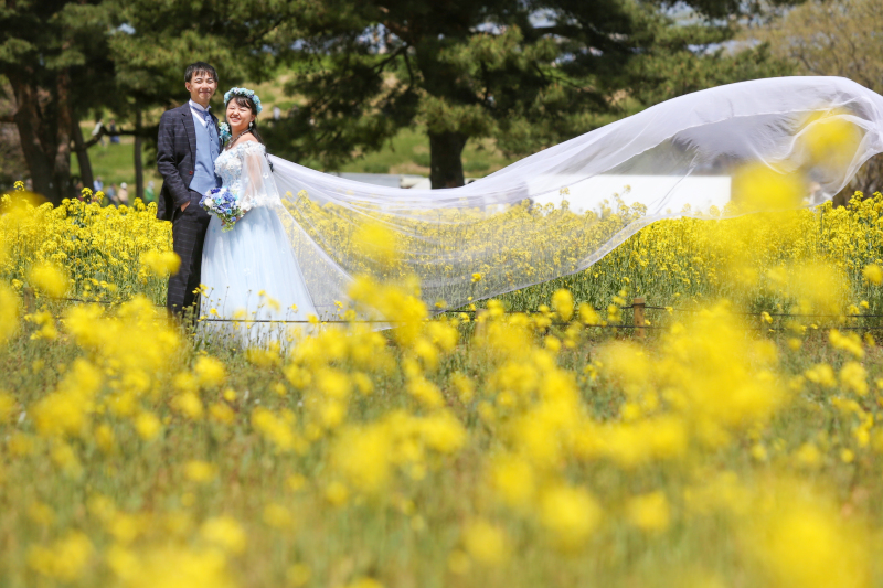 春風にゆだねて