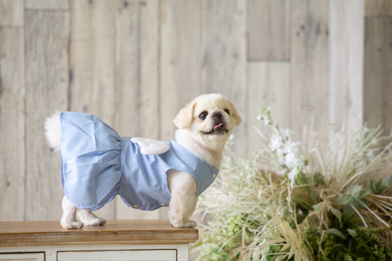 好評価いただける自慢の接客サービス