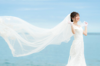 ベール レンタル