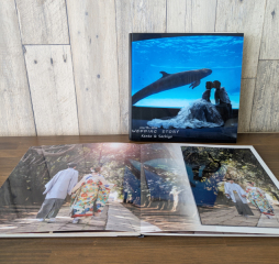 プラチナアルバム(20ページ)