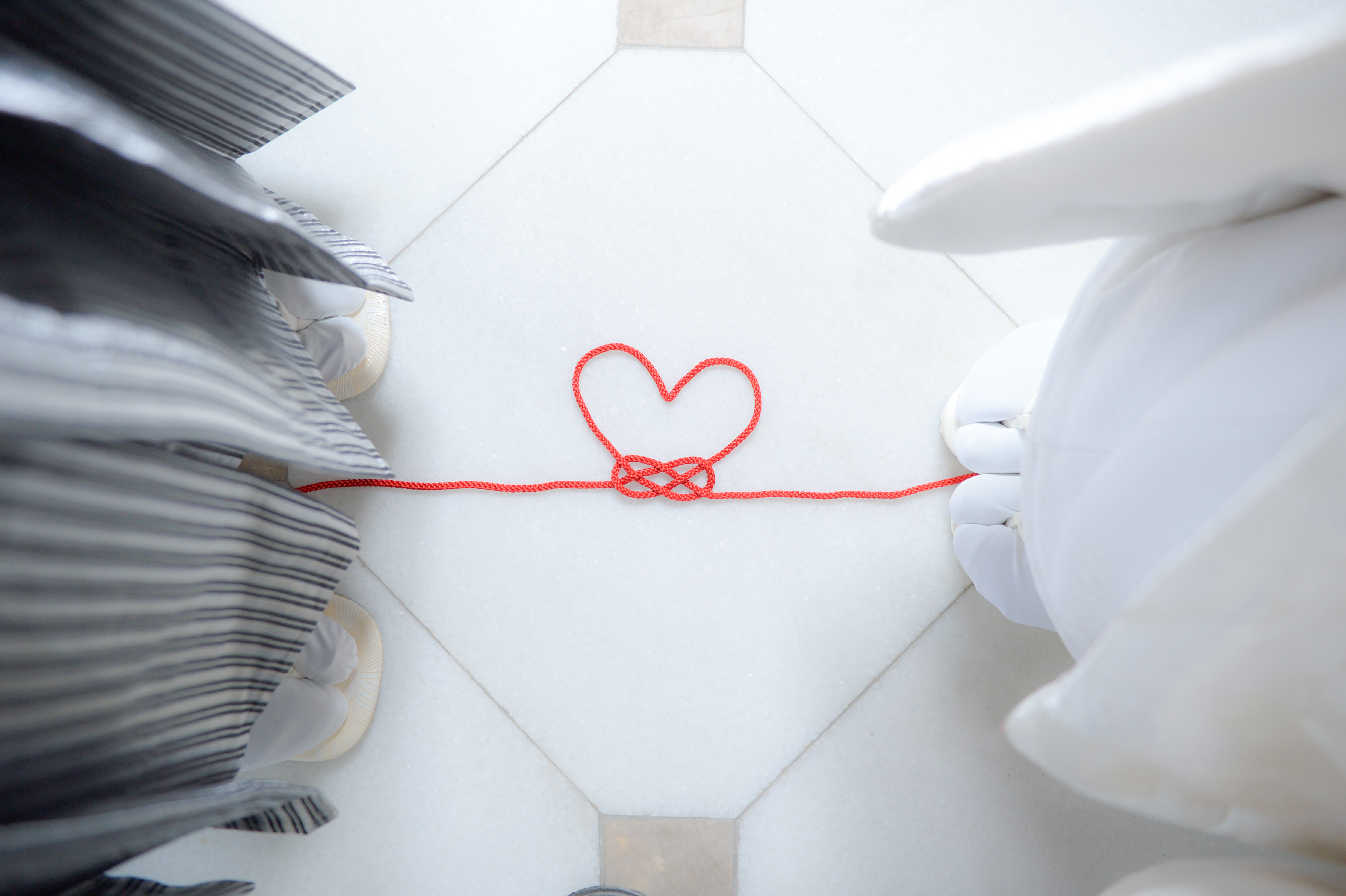 Point1 多彩な撮影シーン