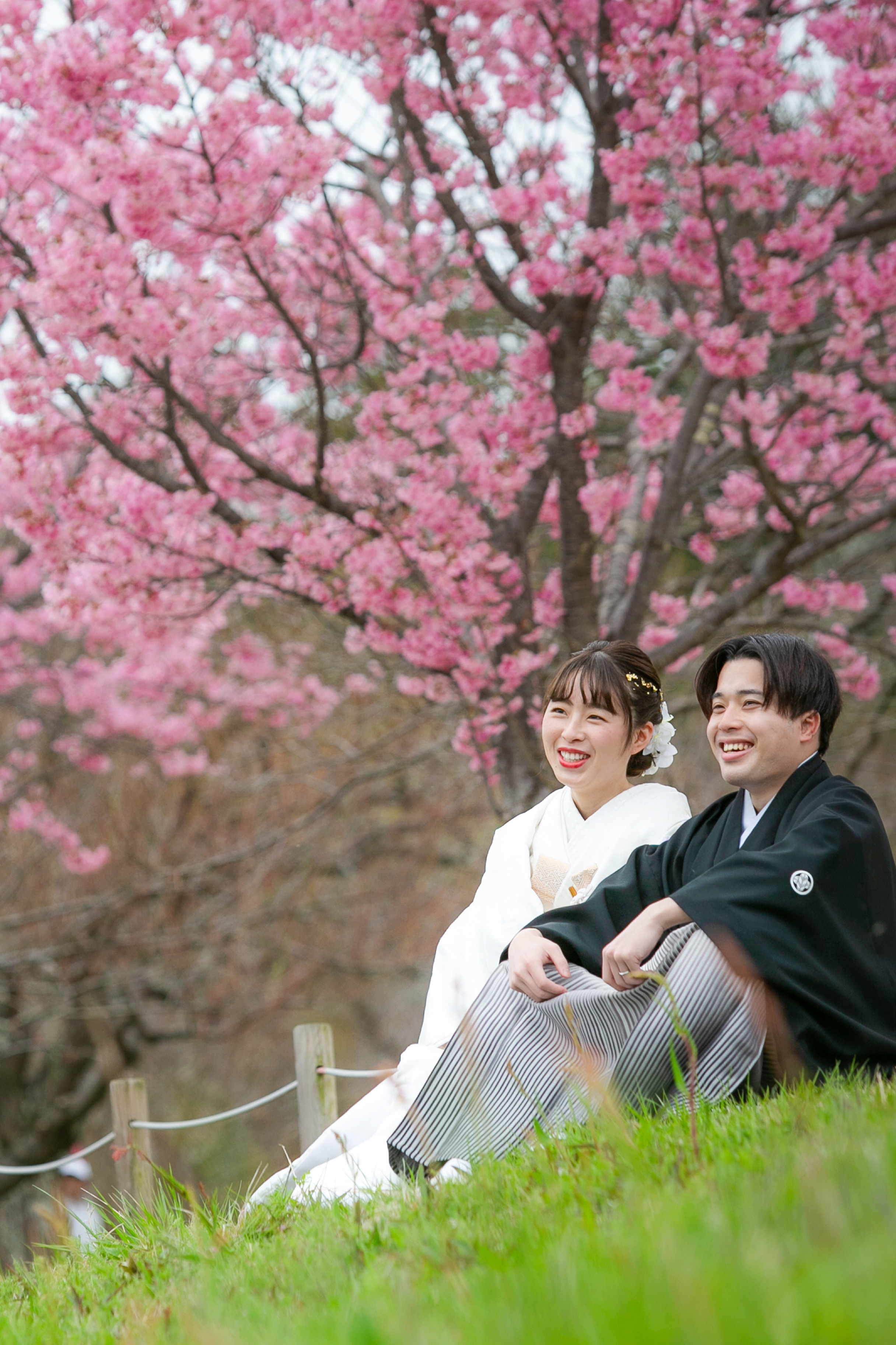 20以上ある撮影シーン