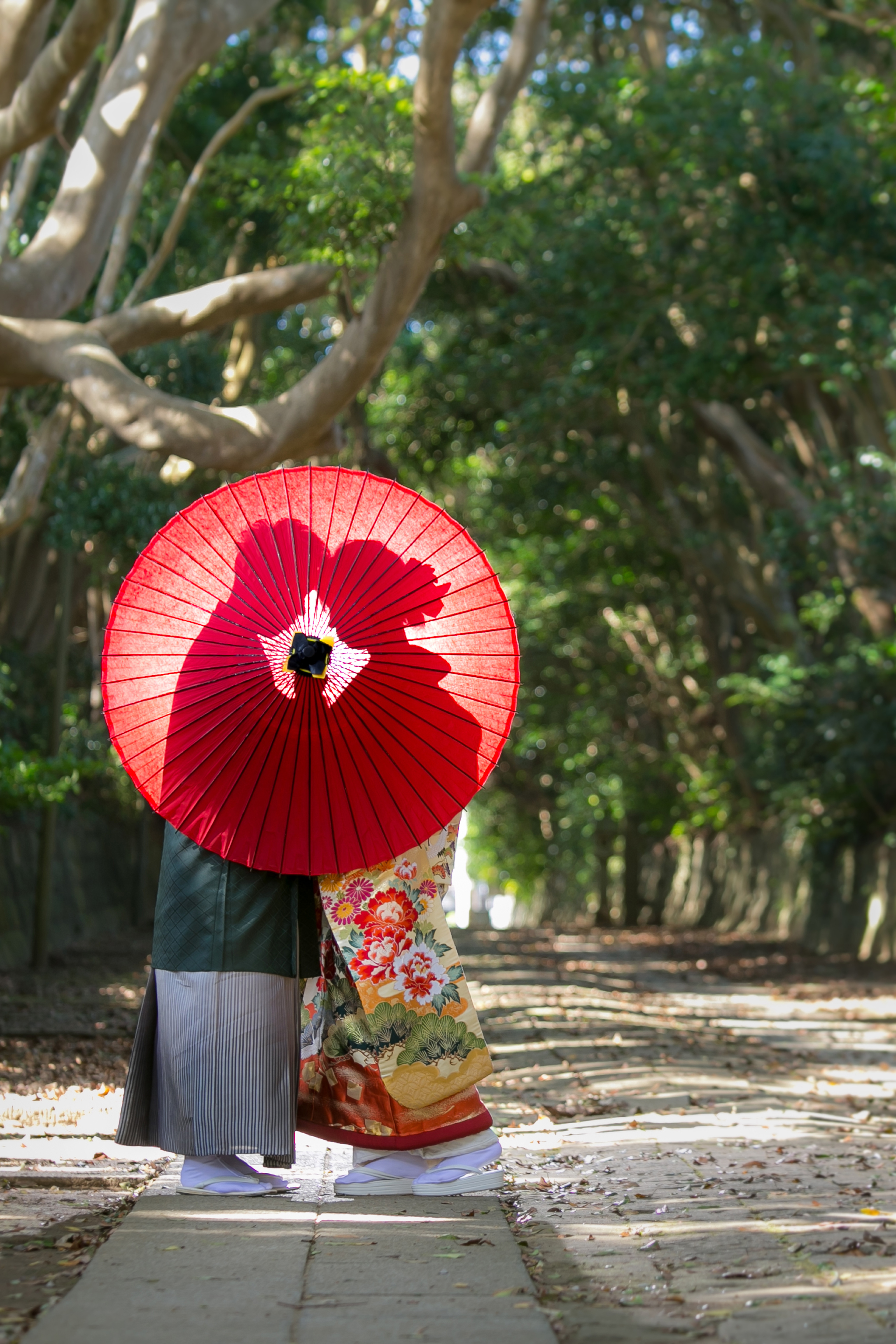 20以上ある撮影シーン