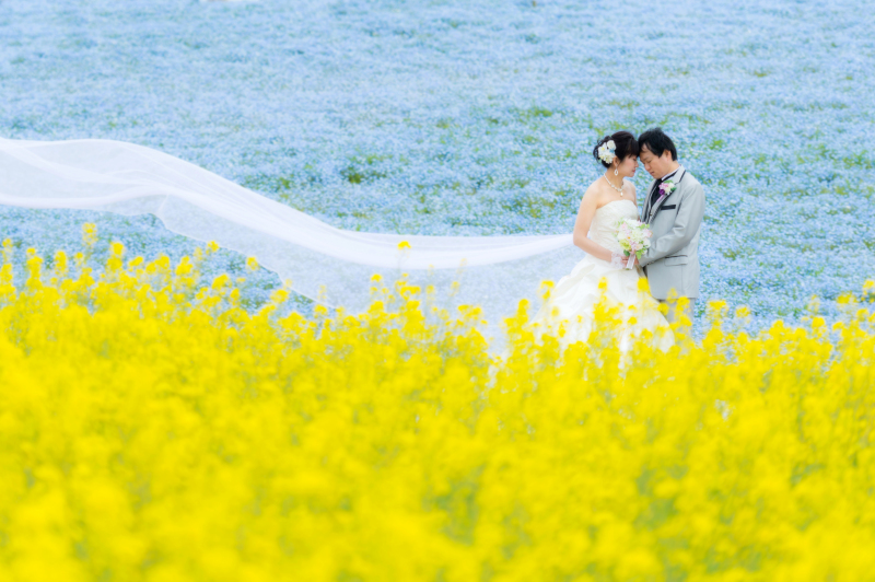 【洋装】館内＋ひたち海浜公園＋海ロケーション