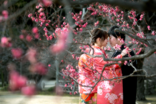 ル・トレフル produced by スタジオエス_【桜＆梅ロケ】 #シーズン限定