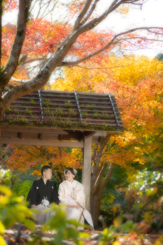 ル・トレフル produced by スタジオエス_【紅葉ロケ】 #シーズン限定
