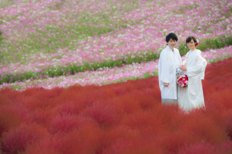 【洋＋和】スタジオ＋コキアロケーション(2日間)