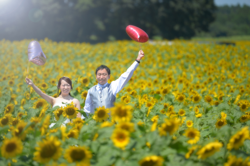 【洋装】ひまわり畑・七ツ洞公園ロケーション撮影
