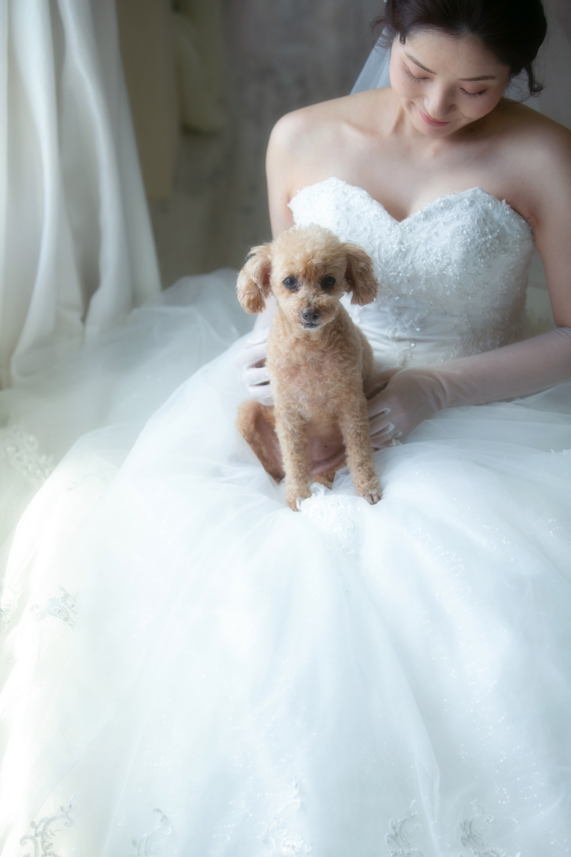 ル・トレフル produced by スタジオエス_ペットと一緒に撮影できる