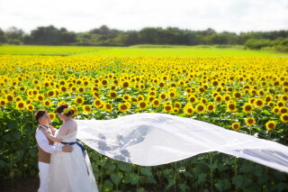 ル・トレフル produced by スタジオエス_【ひまわりロケ】 #シーズン限定