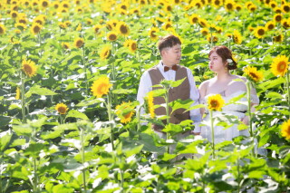 ル・トレフル produced by スタジオエス_【ひまわりロケ】 #シーズン限定