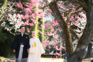 ル・トレフル produced by スタジオエス_【桜＆梅ロケ】 #シーズン限定