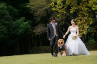 ル・トレフル produced by スタジオエス