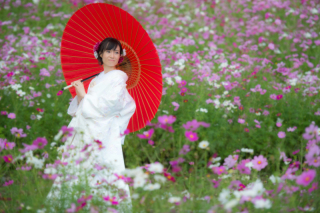 ル・トレフル produced by スタジオエス_Pick up photo!!