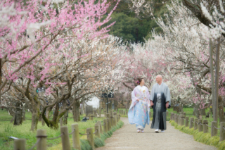 ル・トレフル produced by スタジオエス_【桜＆梅ロケ】 #シーズン限定