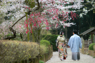 ル・トレフル produced by スタジオエス_【桜＆梅ロケ】 #シーズン限定