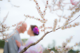 ル・トレフル produced by スタジオエス_【桜＆梅ロケ】 #シーズン限定