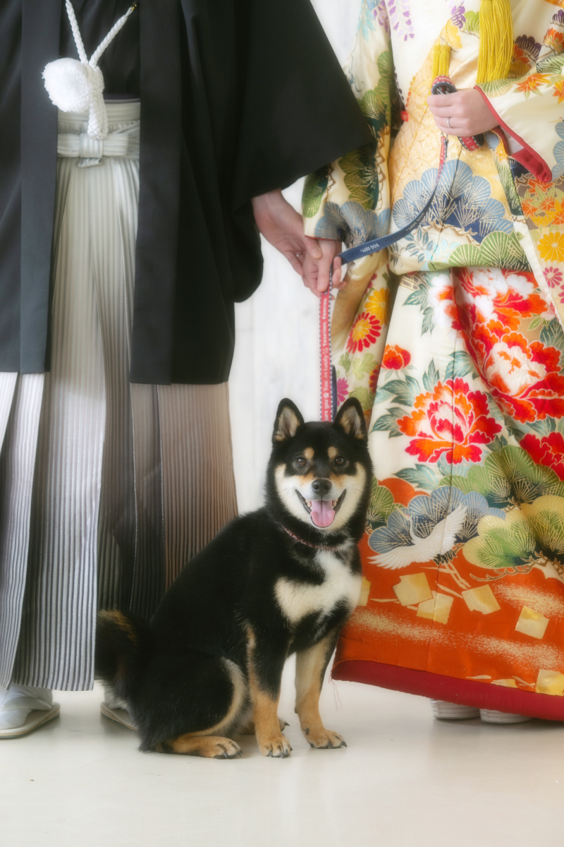 【家族で記念撮影♡】ペットフォトプラン《全データ付き》