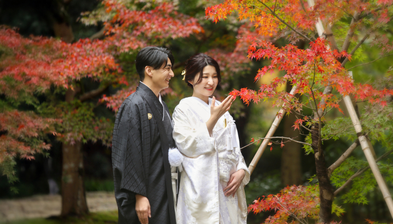 【10月まで限定!10万OFF】紅葉満喫フォトプラン|追加料金一切なし|レタッチデータ付|¥242,000 ⇒¥142,000