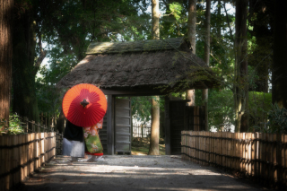 【5月限定！スタジオ撮影プレゼント♡】偕楽園＋常盤神社＋スタジオ｜衣装アップ料金なし｜レタッチデータ付き