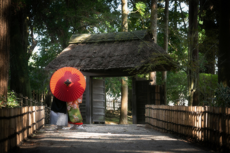 【5月まで限定!スタジオ撮影プレゼント】偕楽園+常盤神社+スタジオ|衣装アップ料金なし|レタッチデータ付き