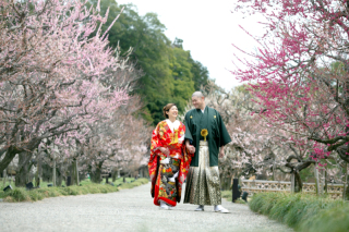 【新春早割】観梅も楽しむフォトプラン《追加料金一切なし》※1/31までの申込限定￥330,000 &rArr;半額￥165,000