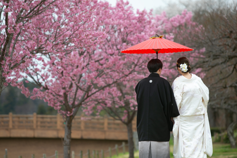 【新春早割】観梅も楽しむフォトプラン《追加料金一切なし》※1/31までの申込限定¥330,000 ⇒半額¥165,000