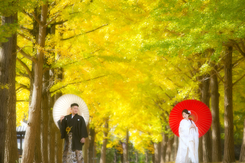 【2025年秋】紅葉ロケーション<早期予約特典付き>