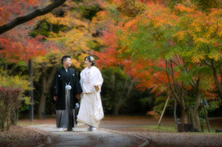 【2025年秋】紅葉ロケーション＜早期予約特典付き＞