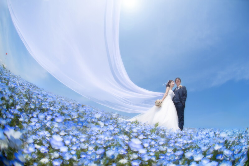 【ブルー&times;ブルー】空色に包まれる海＆ネモフィラフォトプラン《全データ＆レタッチデータ＆選べる特典付》