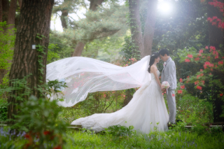 ル・トレフル produced by スタジオエス