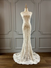 M50(ロケーション可能)